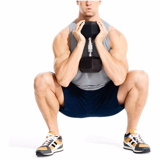 筋肉の調子を整え、全身トレーニング、ホームジム用のラバーコーティングされたソリッドスチールキャスト六角ウェイトダンベル